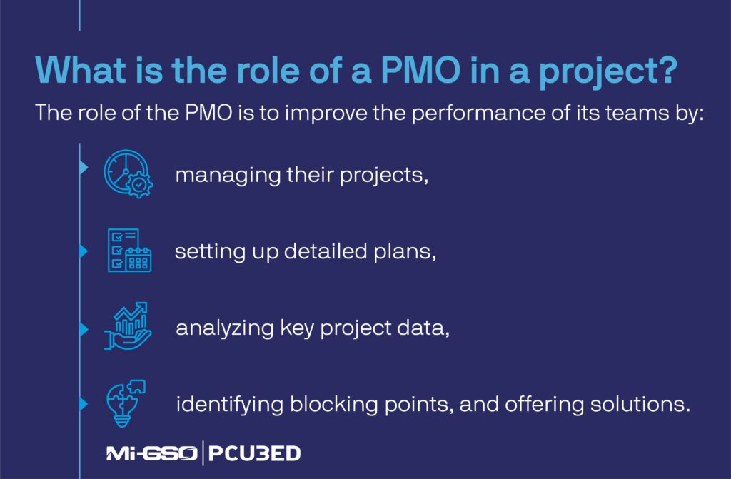 four roles a PMO plays in a project