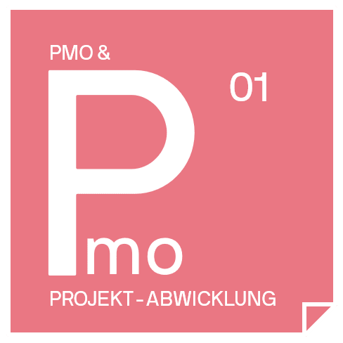 PMO & Projekt Abwicklung