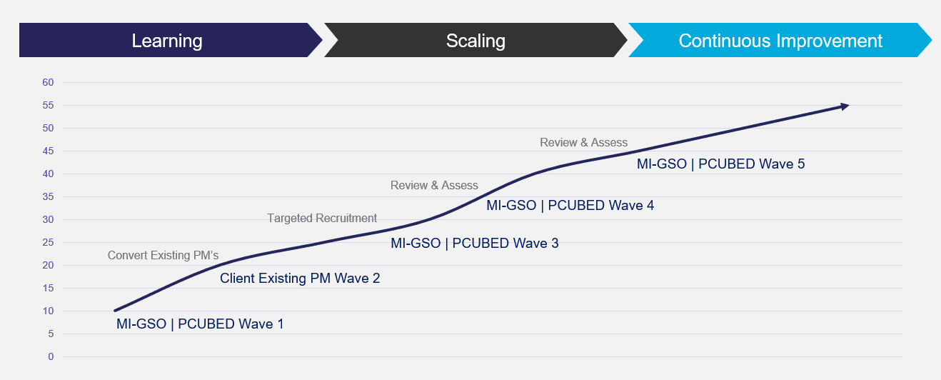 PMO Managed Service Transition