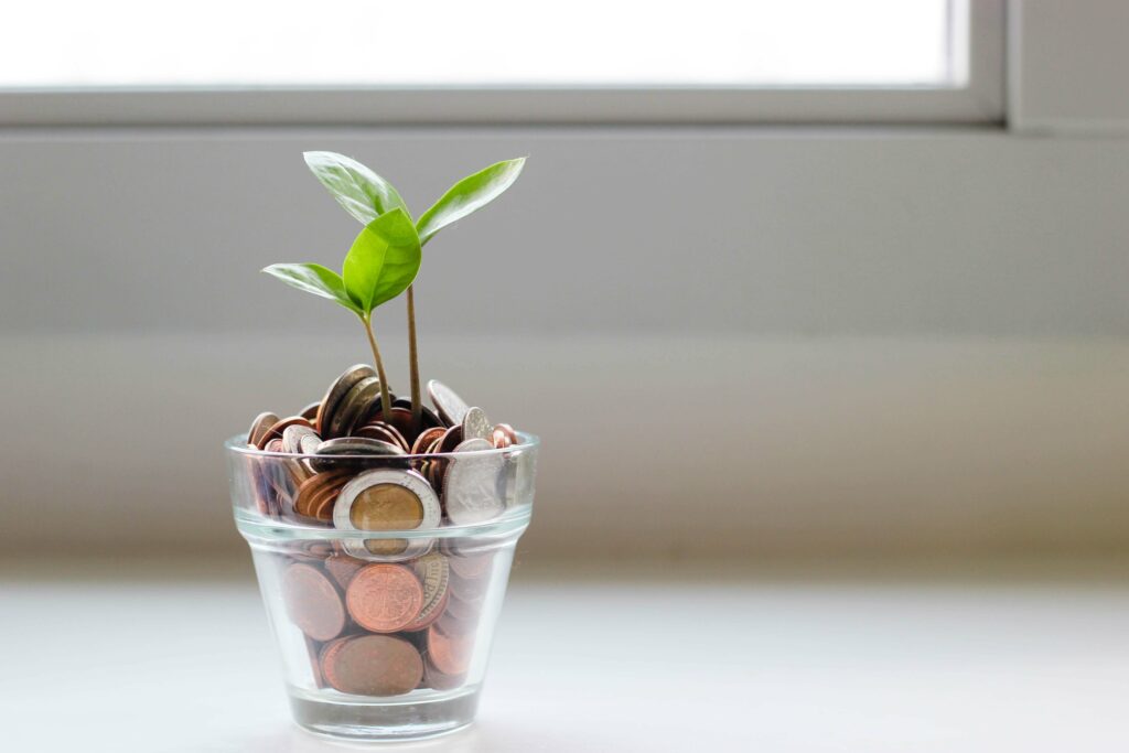 plant growing from coins in a pot