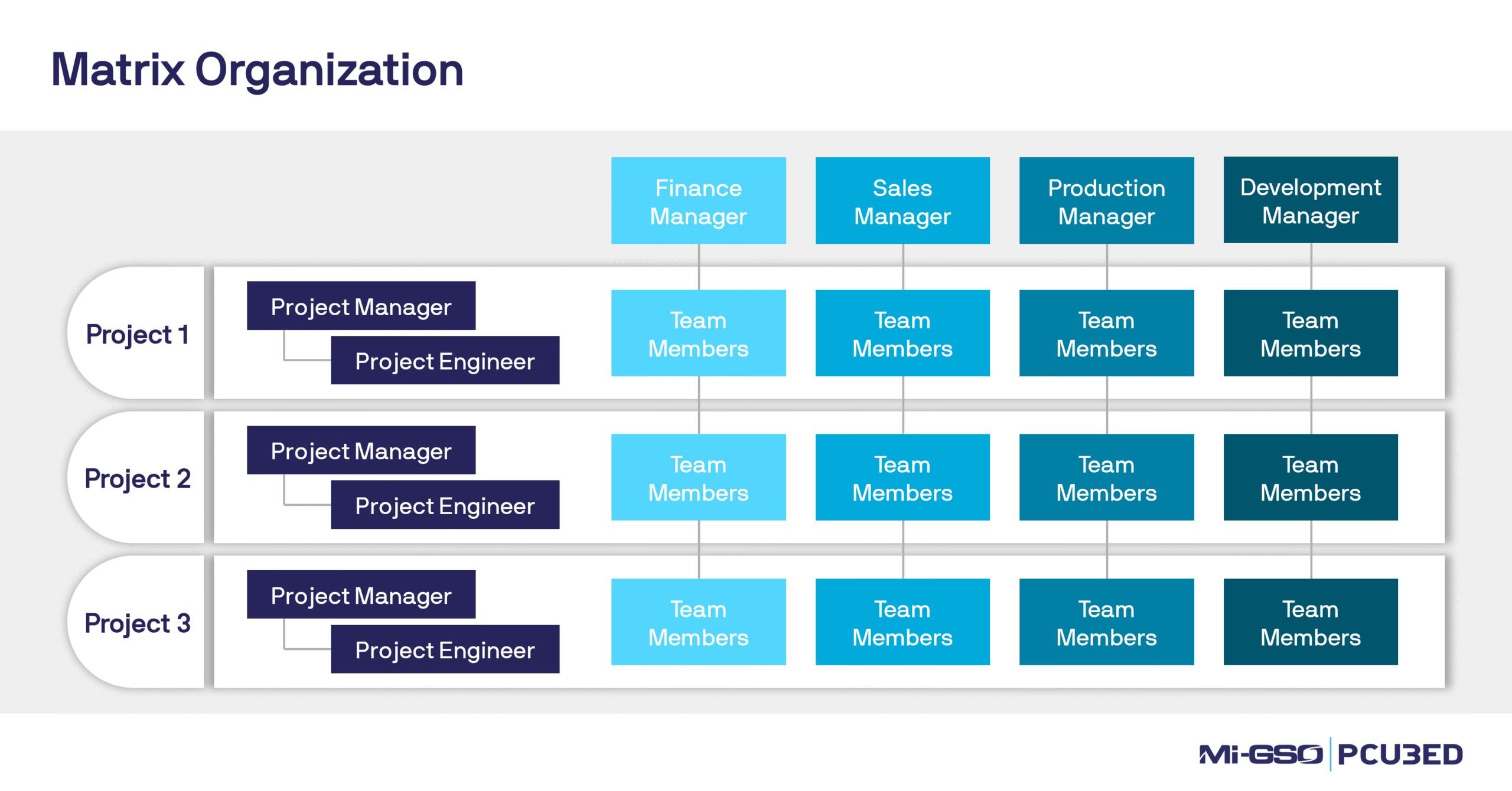 structure of a matrix organization