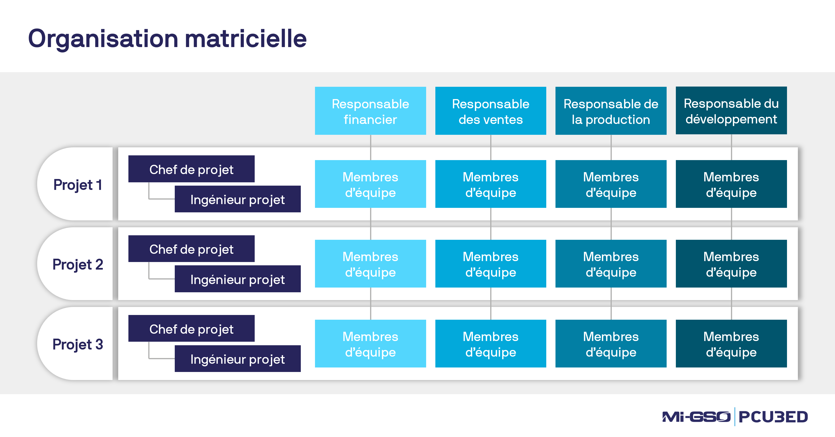 structure d'une organisation matricielle