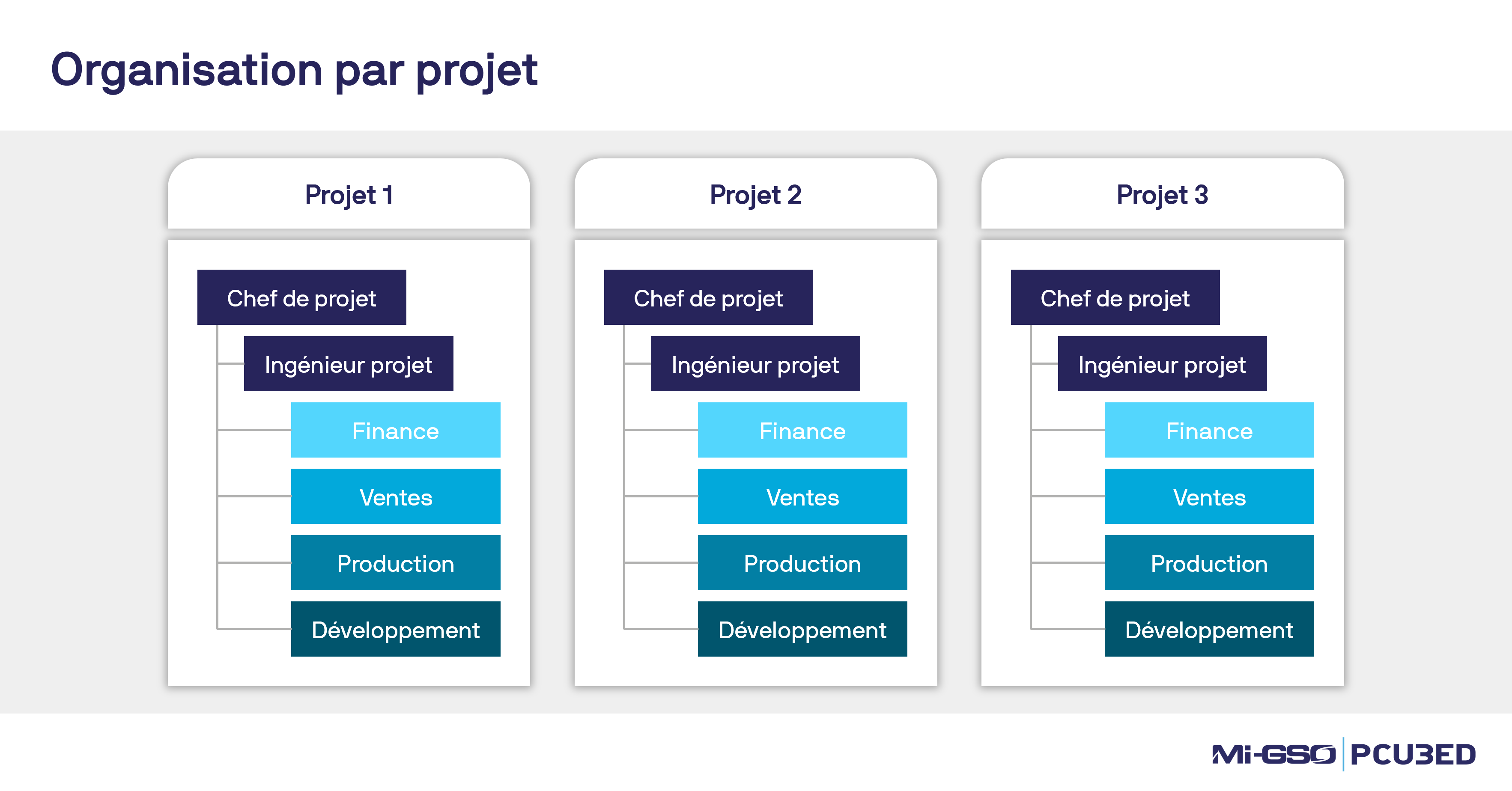 structure d'une organisation par projet