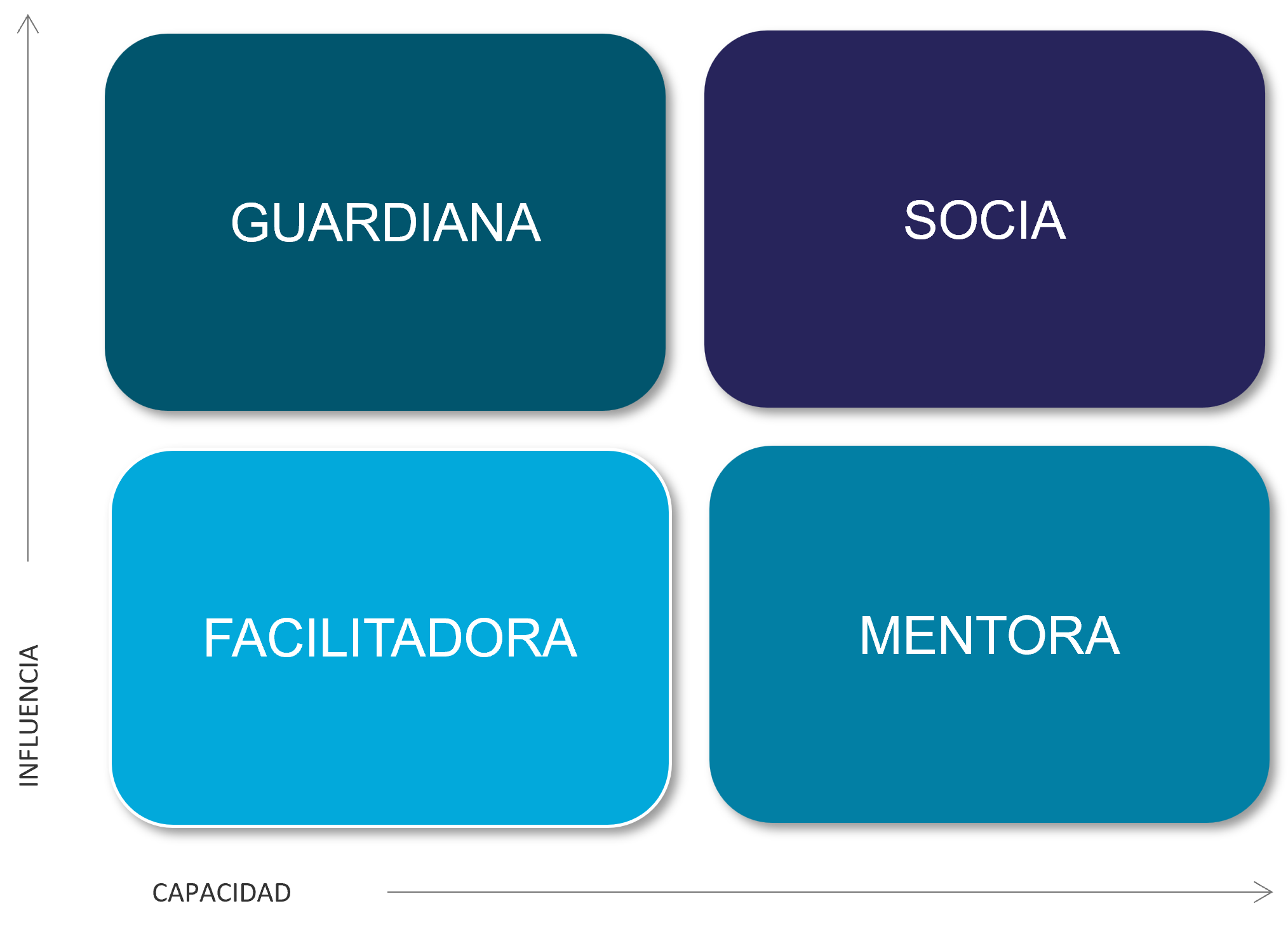 Roles of PMO in Spanish